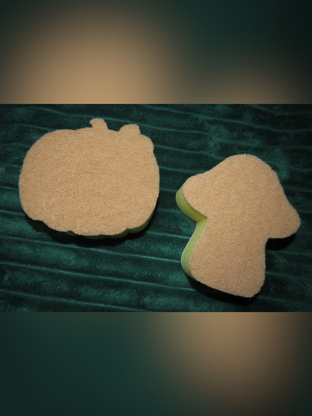 2 pack Fall Sponges - Picture 4 of 4
